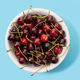 Fresh sweet cherries bowl isolated on blue background - PhotoDune Item for Sale