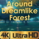Around A Dreamlike Forest - VideoHive Item for Sale
