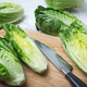 Romaine lettuce - PhotoDune Item for Sale