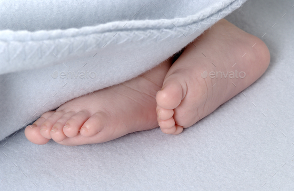 Small, newborn baby feet close up under a blanket - Stock Photo - Images