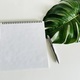 Notepad and pen with monstera leaf  - PhotoDune Item for Sale