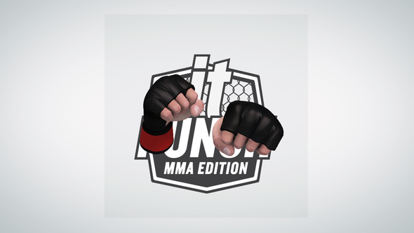 MMA Gloves (Punch It!)