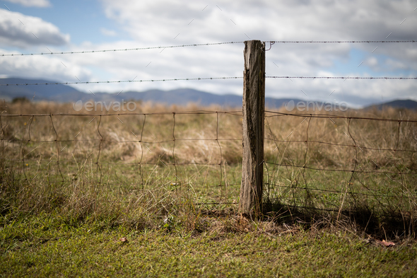 Farm fence - Stock Photo - Images