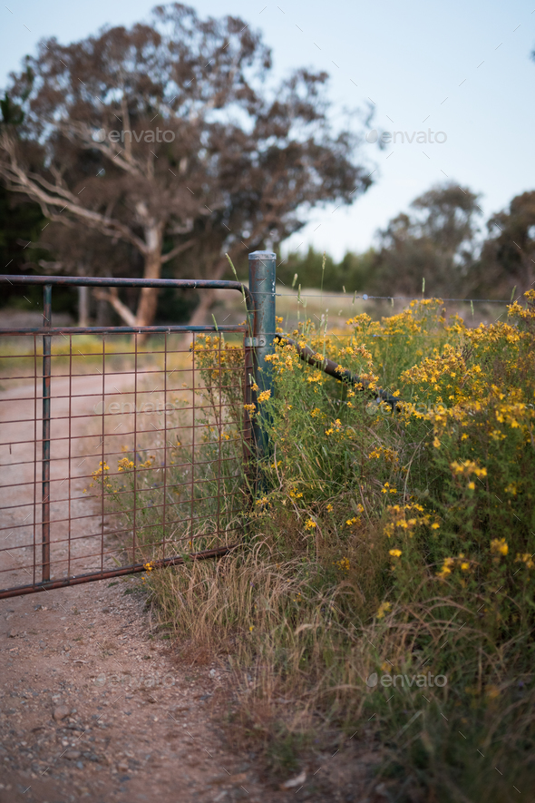 Farm fence - Stock Photo - Images