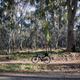 Gravel biking - PhotoDune Item for Sale