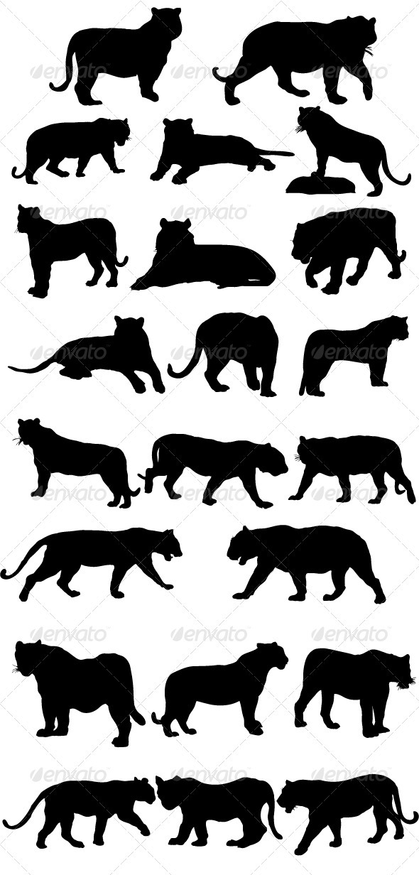 Tiger Silhouettes - Animals Characters