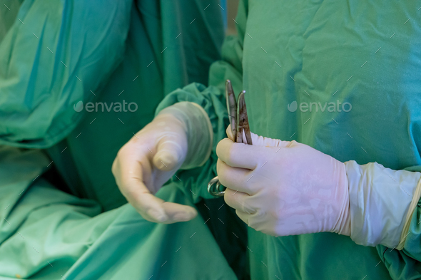 During surgical procedure surgeon hand was enclosed in pair of medical protective gloves - Stock Photo - Images