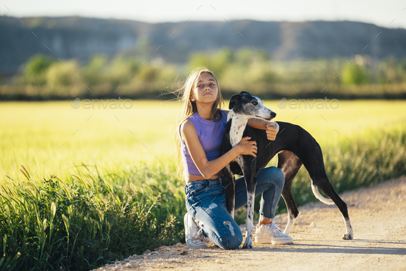 Portrait of a beautiful young blond woman with her greyhound dog. - Stock Photo - Images