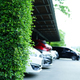 Sustainable parking lot. Green parking lot. Green hedge fence on blur busy urban parking space. - PhotoDune Item for Sale