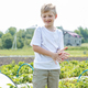 Smiling boy picking strawberry on self-picking farm. Harvesting concept. Pick-Your-Own farm - PhotoDune Item for Sale