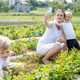 Young mother harvests new crop of strawberries with children and shoots video using smartphone - PhotoDune Item for Sale