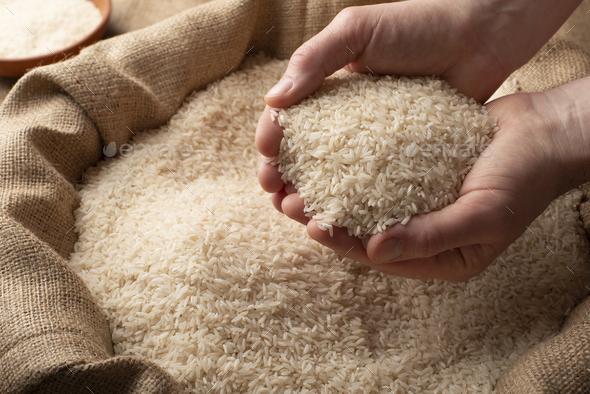 Human hands holding handful of rice over burlap sack Stock Photo by ...