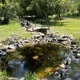 Koi pond in the park  - PhotoDune Item for Sale