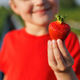 Close-up of a ripe red strawberry berry in the hands of a little girl - PhotoDune Item for Sale