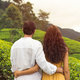 Couple of Travelers in Love in Front of Green Tea Terraces in Sri Lanka Mountains - PhotoDune Item for Sale