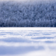 snow covered trees in winter - PhotoDune Item for Sale
