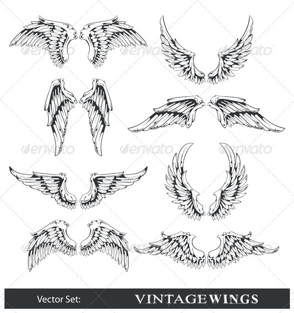Wings Bird Feather Black & White Tattoo Vector Stock Vector - Illustration  of badge, feathers: 188951240