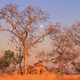 African Moonrise - PhotoDune Item for Sale