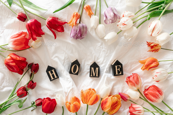 Spring background with flowers tulips and decorative word Home. - Stock Photo - Images