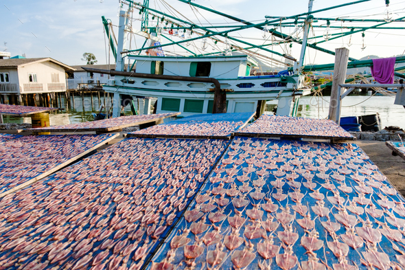 Bangsaray Pattaya Thailand, fishing harbor at the fishing village Bangsaray  - Stock Photo - Images