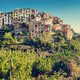 Corniglia in Cinque Terre, Italy with vineyards and terraces panorama - PhotoDune Item for Sale
