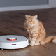White robot vacuum cleaner washes the floor. Ginger cat - PhotoDune Item for Sale