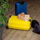 dog and cat sitting in the suitcase or bag and waiting for a trip. Travel and vacation - PhotoDune Item for Sale