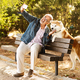 Glad european old man in casual enjoys walking with dog, sit on bench in park, taking photo on - PhotoDune Item for Sale