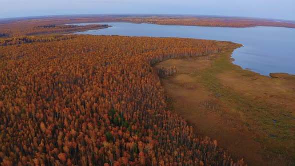 Aerial Top View of Beautiful Lake Surrounded By Colorful Forest in Autumn