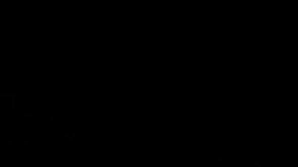 Real Organic Smoke 11 alt