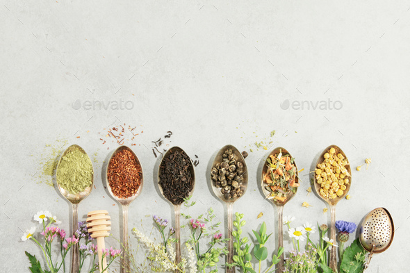 Top view, organic tea collection and  Healing herbs on concrete background - Stock Photo - Images