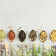 Top view, organic tea collection and  Healing herbs on concrete background - PhotoDune Item for Sale