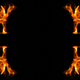 fire flames. Eagle silhouette Fire embers particles over black background. Fire sparks background. A - PhotoDune Item for Sale