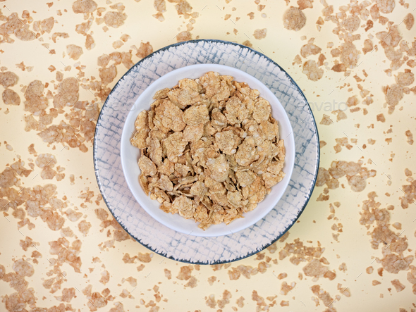 dish formed with cereal no OGM - Stock Photo - Images