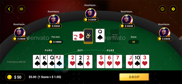 Online Rummy Gaming App, RummyGo, Web Elements