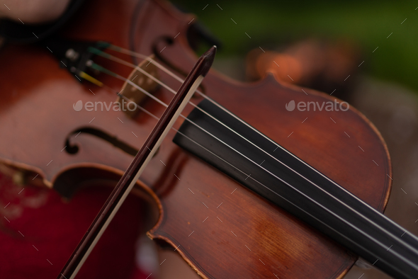 The man plays the violin - Stock Photo - Images