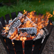 Burning fires outside - PhotoDune Item for Sale