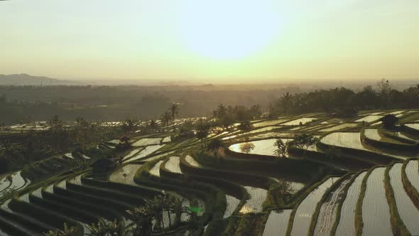 Aerial video in an amazing landscape rice field on Jatiluwih Rice Terraces, Bali, Indonesia alt