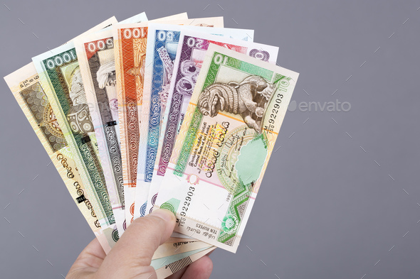 Sri Lankan money in the hand on a gray background - Stock Photo - Images