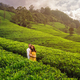 Aerial View of Green Tea Fields Landscape with Couple of Travelers in Love - PhotoDune Item for Sale