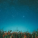 Milky way galaxy Night Starry Sky Above corn Field maize Plantation. Natural Glowing Stars Above - PhotoDune Item for Sale