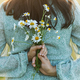 Woman holding daisy bouquet at back in evening summer countryside, close up - PhotoDune Item for Sale