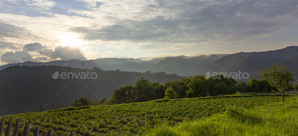 beautiful countryside  - Stock Photo - Images