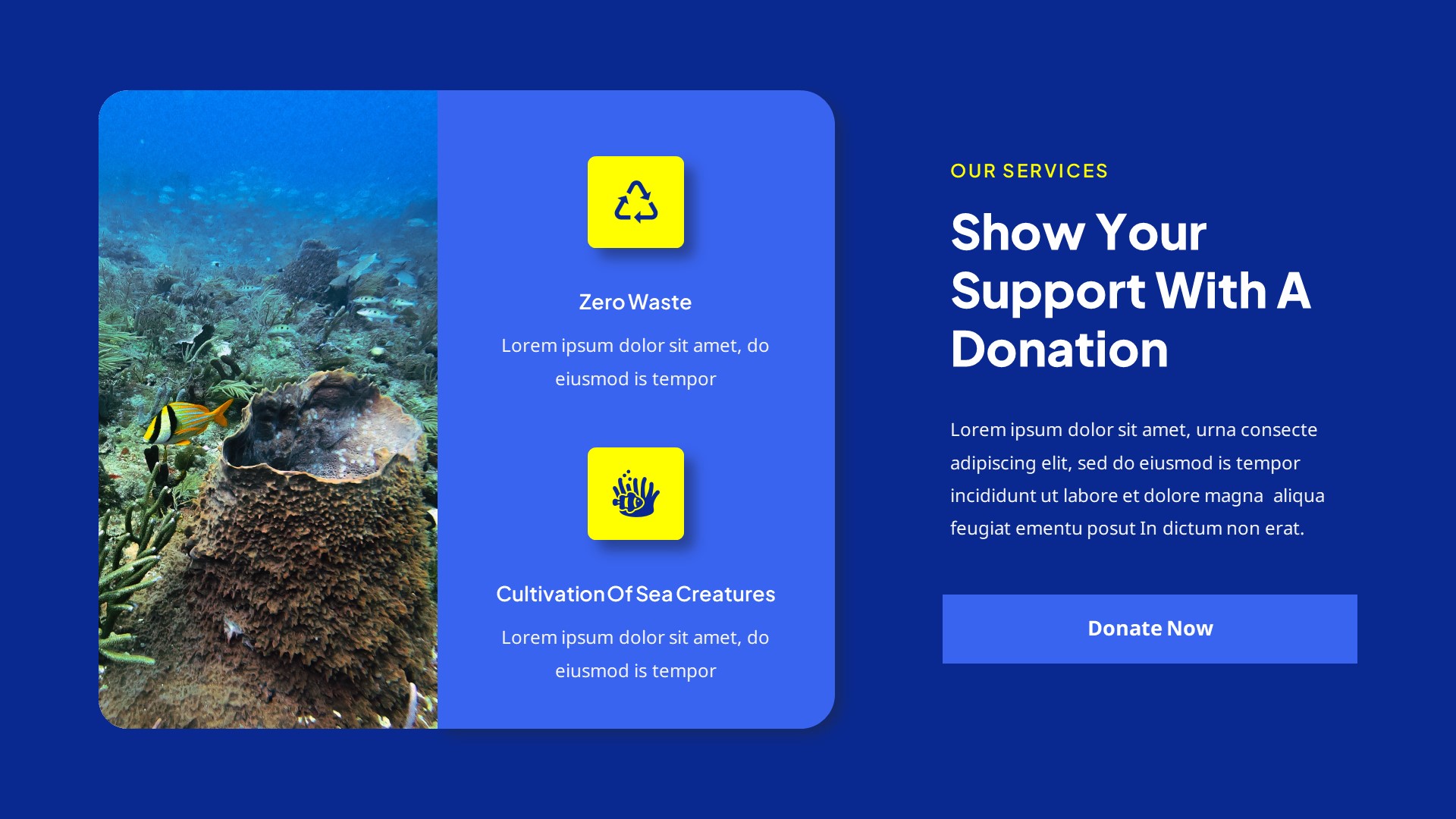 Aqualogy - Marine Ecosystem Conservation PowerPoint Template ...