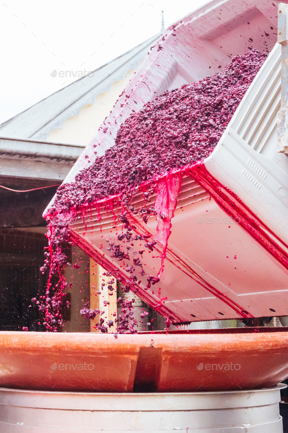 Hardys Winery in Mclaren Vale Australia - Stock Photo - Images
