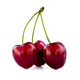 Red cherries isolated on white background - PhotoDune Item for Sale