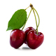 Red cherries isolated on white background - PhotoDune Item for Sale