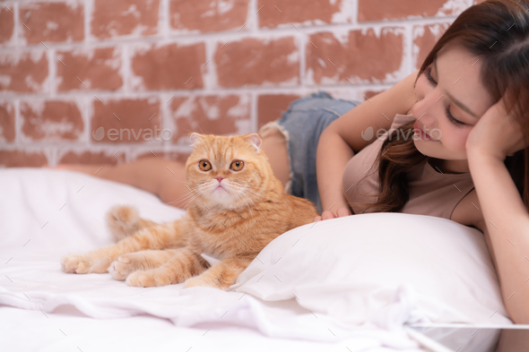 An intelligent Persian cat and owner playing together in bed - Stock Photo - Images