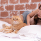 An intelligent Persian cat and owner playing together in bed - PhotoDune Item for Sale