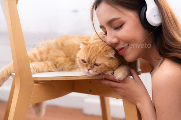 Young asian woman snuggling with a clever Persian cat. with love tenderness - Stock Photo - Images